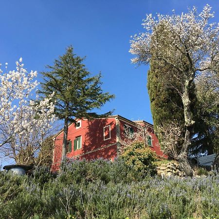 Piccola Casa Toscana Con Giardino Con Vista Mozzafiato Podere Cordicella Exterior foto