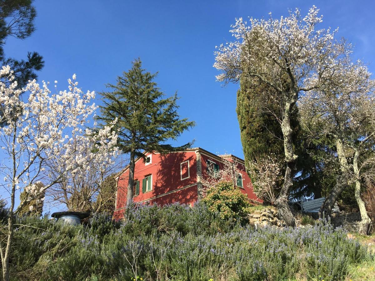 Piccola Casa Toscana Con Giardino Con Vista Mozzafiato Podere Cordicella Exterior foto